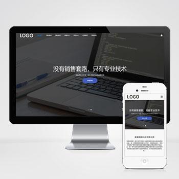 网站建设网络科技类模板 SEO优化网络建站公司网站源码下载(自适应手机端)