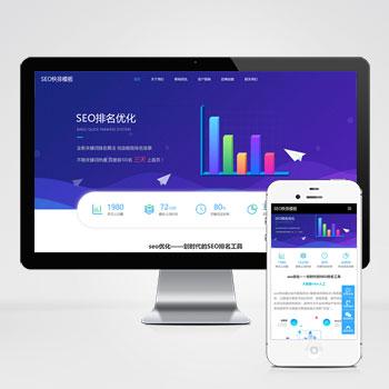 seo快排网站模板 大气的IT网络软件公司网站源码下载(自适应移动端)