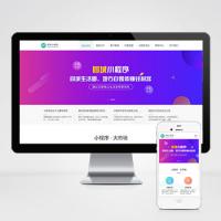 微信小程序开发代理展示销售网站模板 软件开发公司网站源码下载(PC+WAP)